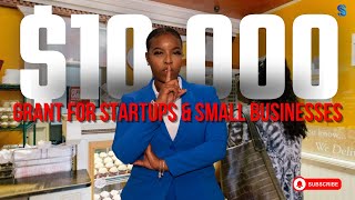 Apply now GRANTS for Small Businesses and Startups [upl. by Ahsikam619]