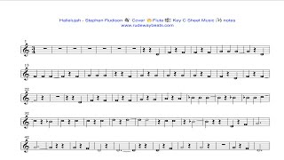 HALLELUJAH 🔊 Cover 🔥FLUTE 🎼 Key C 🎧 notes [upl. by Bazil]