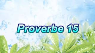 Proverbe 15 [upl. by Hawkie]