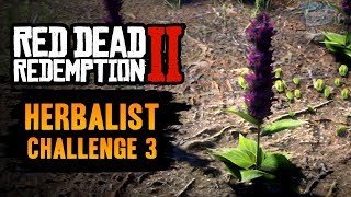 Red Dead Redemption 2 Herbalist Challenge 3 Guide  Craft 7 items using Sage as an ingredient [upl. by Vance]