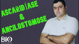 ASCARIDÍASE amp ANCILOSTOMOSE  Parasitologia  ENEM e Vestibulares [upl. by Lindie739]