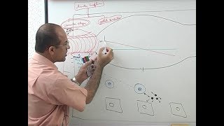 Inflammation  Vascular Events  Immunology  Dr Najeeb [upl. by Annawahs16]