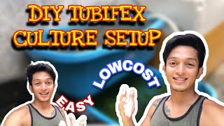 TUBIFEX WORMS CULTURE SETUPeasy and lowcost [upl. by Noreg]