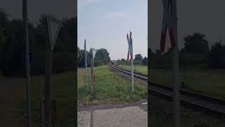 RB  RE 39 nach Bad Wildungen am unbeschrankten bahnübergang Fritzlar Br 642 [upl. by Ardnahsal]