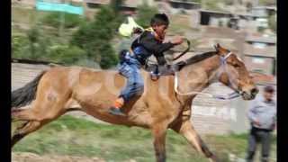 LOS QORILAZOS DE PAMPA CANGALLO 2015  quotCABALLITO MANSADOquot [upl. by Neau]