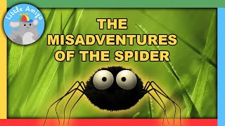 Minuscule  Best of the Spider 🕷️  Compilation  Little Amigo [upl. by Ebeneser555]