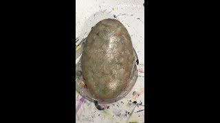 Rock Painting Tutorials for Beginners Guide Channel Dragonfly short [upl. by Flanigan]