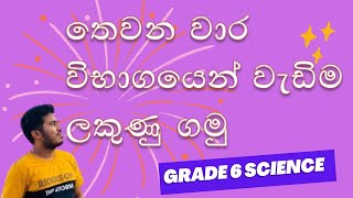 Grade 6 science තාපය හා එහි බලපෑම් Homework No 03 [upl. by Ardnua]