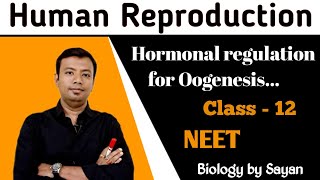 Human reproduction Hormonal regulation for oogenesis Class 12 NEET [upl. by Belanger]