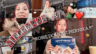 VLOGMAAAS 5 2023  domek z piernika egzamin w szkole w ☁️ prawie spaliłam dom…🏃‍♀️ [upl. by Anilejna556]