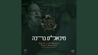 מיכאל׳ס ברכה Live feat Mendy Hershkowitz Band amp The Shira Choir Live [upl. by Rednasxela]