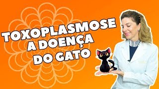 Toxoplasmose  O Que é Sintomas Causas e Tratamento [upl. by Akenehs]