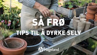 Så frø  tips til å dyrke selv [upl. by Dnomder]