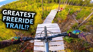 Riding and mastering a SUPER FUN Freeride Trail  Casino Royale [upl. by Acilgna]