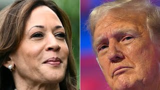 Présidentielle américaine  que disent les sondages du match Kamala Harris  Donald Trump [upl. by Hakym]