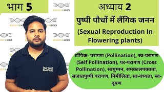 अध्याय2 भाग 5 पुष्पी पौधों में लैंगिक जनन  जीव विज्ञान कक्षा 12  Sexual repro in flowering plant [upl. by Hubble]