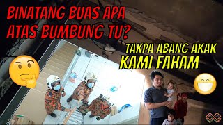 BINATANG BUAS APA DEKAT ATAS BUMBUNG RUMAH TUTAK APA ABANG AKAK KAMI FAHAMTERBAIK BOMBA MALAYSIA [upl. by Noleta]