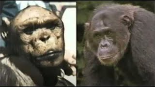 OLIVER the HUMANCHIMP HYBRID  HUMANZEE A Quick Summary of His Life [upl. by Aneehsak]