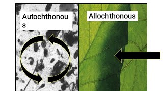 Autochthonous Vs Allochthonous Vs Parautochthonous ll Ecology ll Biology With Iswar ll csirnet 2021 [upl. by Nnylyahs915]