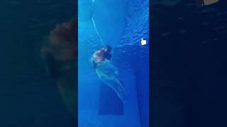 🐋👶 Whale Giving Birth 🐳✨  Incredible Underwater Moment shorts [upl. by Atnohsal]