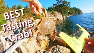 Crabbing From Shore Catch amp Cook Dungeness Crab [upl. by Sorci]