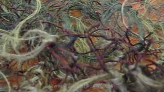 Ghillie suit in action HD [upl. by Esor]