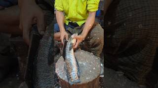 Amazing Big Sole Fish Cutting Skills Live In Fish Market  shorts [upl. by Ideih]