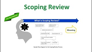 Scoping Review [upl. by Brotherson]