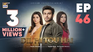 Dil Hi Tou Hai Episode 46  Ali Ansari  Zoya Nasir  22 Nov 2023  ARY Digital [upl. by Roderick925]