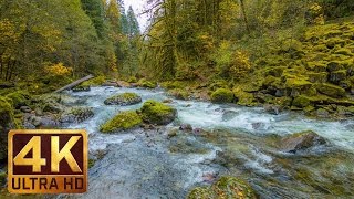 Beautiful Nature Video in 4K Ultra HD  Autumn River Sounds  5 Hours Long [upl. by Nylirem]