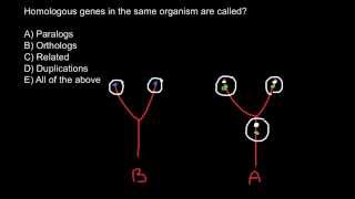 What is the difference between paralogus and orthologus genes [upl. by Eicnan]