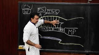 GROSS ANATOMY OF PULP SPACE OF WHITLOW [upl. by Lemrahs985]