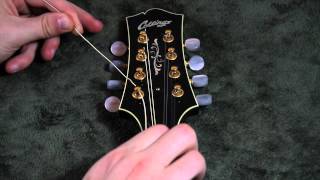 Restringing Your Mandolin WEB HD [upl. by Pouncey274]