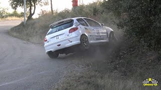 Rallye de Haute Provence 2024 VHC Moderne Mistakes Show [upl. by Bindman431]