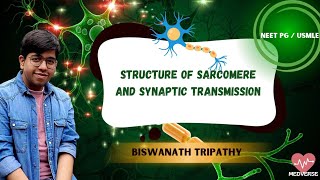 STRUCTURE OF SARCOMERE and SYNAPTIC TRANSMISSION  USMLENEETPG  NM Physiology  MEDVERSE [upl. by Dora]