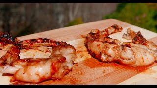 Grilled Frog Legs Recipe and Taste Test [upl. by Sivartal442]