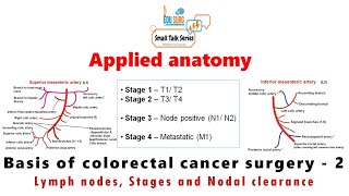 Applied anatomy  colon cancer surgery  cancer stages Nodal grouping  AJCC 8  Edusurg Clinics [upl. by Ethelinda967]