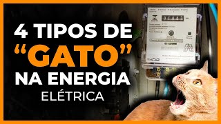 FRAUDE quotGATOquot NO CONSUMO DE ENERGIA  Principais tipos de adulteração no medidor de energia [upl. by Fabri]