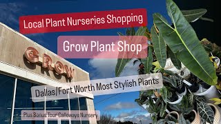 Big Box Store Plant Shopping Comparing to Local Nursery Grow Plant Shop and Calloways Rare Plants [upl. by Eiltan150]