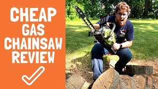 Cheap Amazon Chainsaw Testing the Cheapest Gas Powered Poulan PL3314 14quot Chain Saw on a tree [upl. by Nissa520]