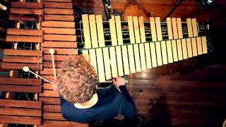 Leonhard Waltersdorfer  D  N  A  vibraphone amp marimba for 1 player [upl. by Oiuqise]