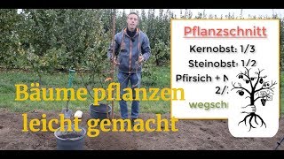 Obstbaum pflanzen leicht gemacht  Baum pflanzen wie ein Profi [upl. by Aryam]