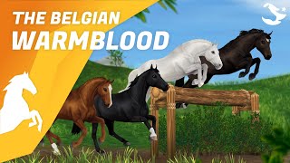 Meet the Belgian Warmblood  Star Stable Horses [upl. by Elladine]