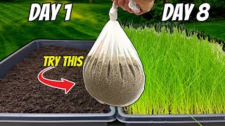 The FASTEST Way to Grow Grass Seed Pregermination Secrets REVEALED [upl. by Zuckerman]