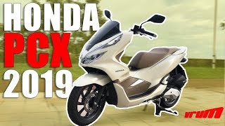 Honda PCX DLX  A mais queridinha da mulherada [upl. by Nalyd10]