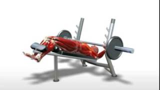 Exercise Videos Barbell Decline Bench Press [upl. by Eimam]