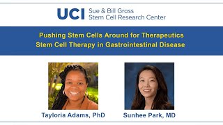 Dielectrophoresis  Insights into Mesenchymal Stem Cells’ Heterogeneity [upl. by Murrah]