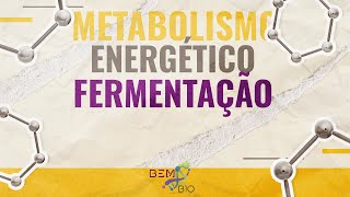 Metabolismo Energético  Fermentação [upl. by Croom851]