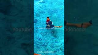 Swim with the Fish in Maratua Island Borneo Indonesia shorts [upl. by Eerej]