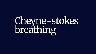 Breathing Patterns Abnormal and Irregular Respirations  Respiratory Therapy Zone [upl. by Assirod]